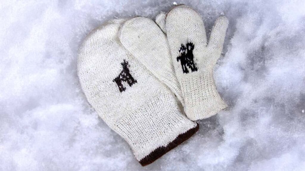 Accessoires double face Accessoires double face