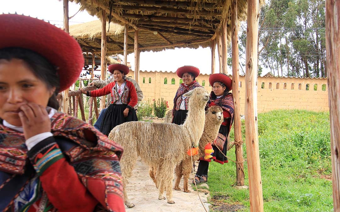 Tissus ethniques en laine d'alpaga Tissus ethniques en laine d'alpaga